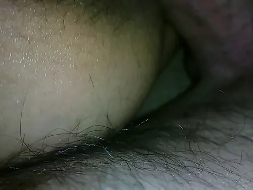 હોરિશ સોનેરી કૂતરી ક ...