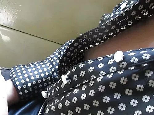 લાંબા પળિયાવાળું સું ...